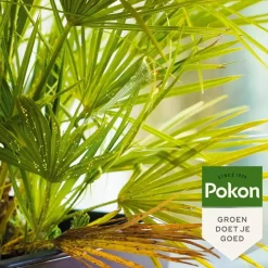 Pokon Bio Tegen Hardnekkige Insecten Polysect Spray 800ml