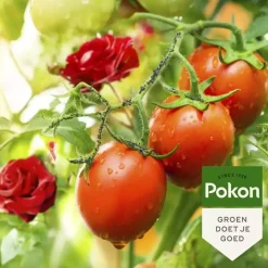 Pokon Bio Tegen Insecten Polysect GYO Spray 800ml