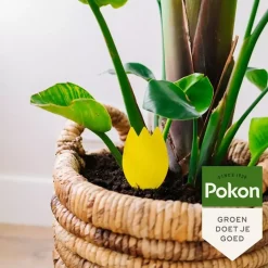 Pokon Bio Vangplaatjes tegen Rouwvliegjes 15st.
