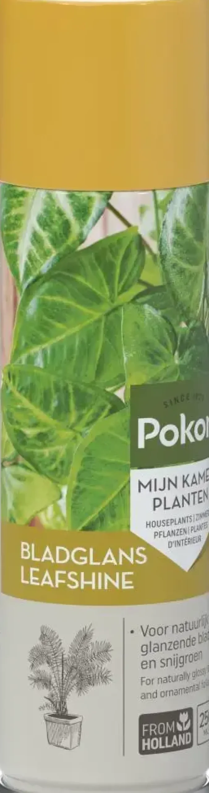 Pokon Bladglans 250ml