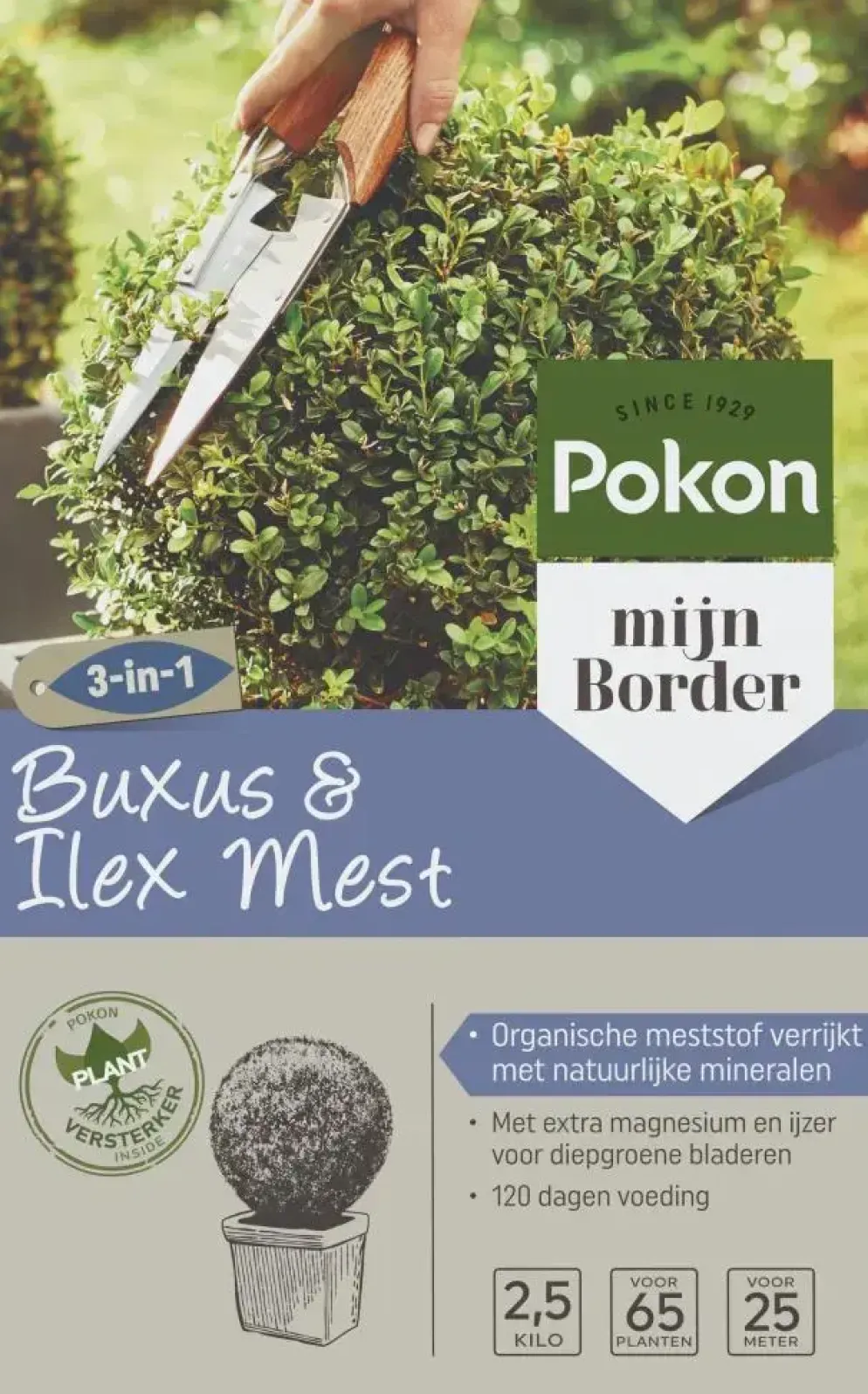 Pokon Buxus & Ilex Mest 2,5kg