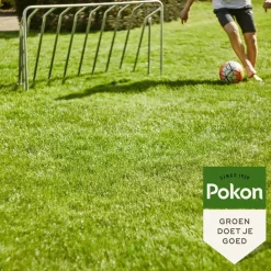 Pokon Graszaad Inzaai 500gr