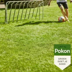 Pokon Graszaad Inzaai 2kg