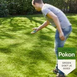 Pokon Graszaad Schaduw 1kg
