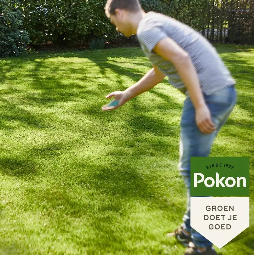 Pokon Graszaad Schaduw 1kg