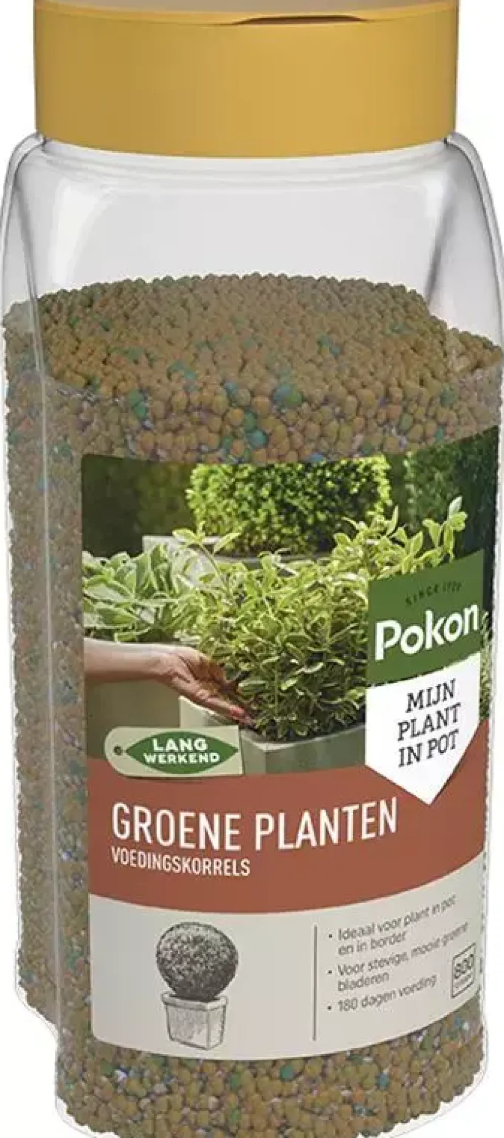 Pokon Groene Planten Voedingskorrels 800g