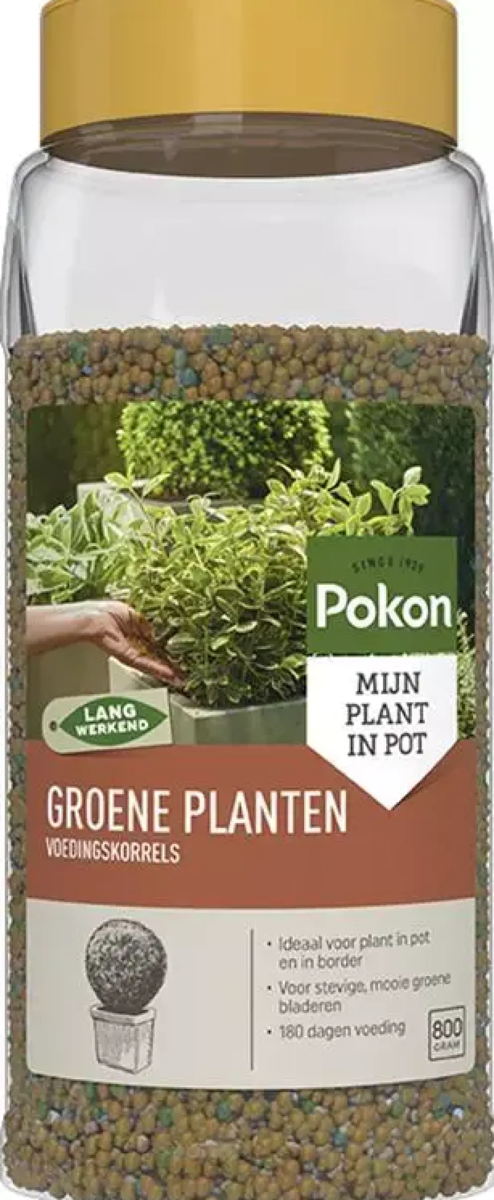 Pokon Groene Planten Voedingskorrels 800g