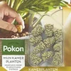Pokon Kamerplanten Voedingskegels 10 stuks