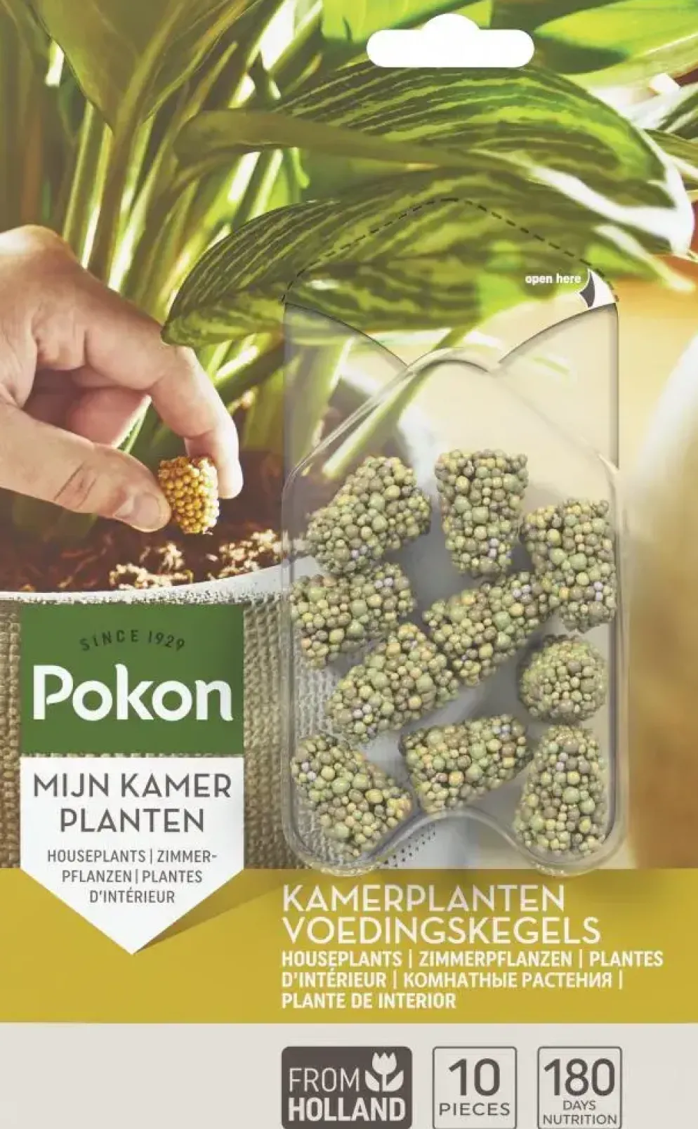 Pokon Kamerplanten Voedingskegels 10 stuks