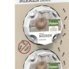 Pokon Mieren Lokdoos 2st | Mierenbestrijding