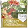 Pokon Potgrond Anthurium 5L