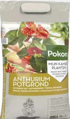 Pokon Potgrond Anthurium 5L