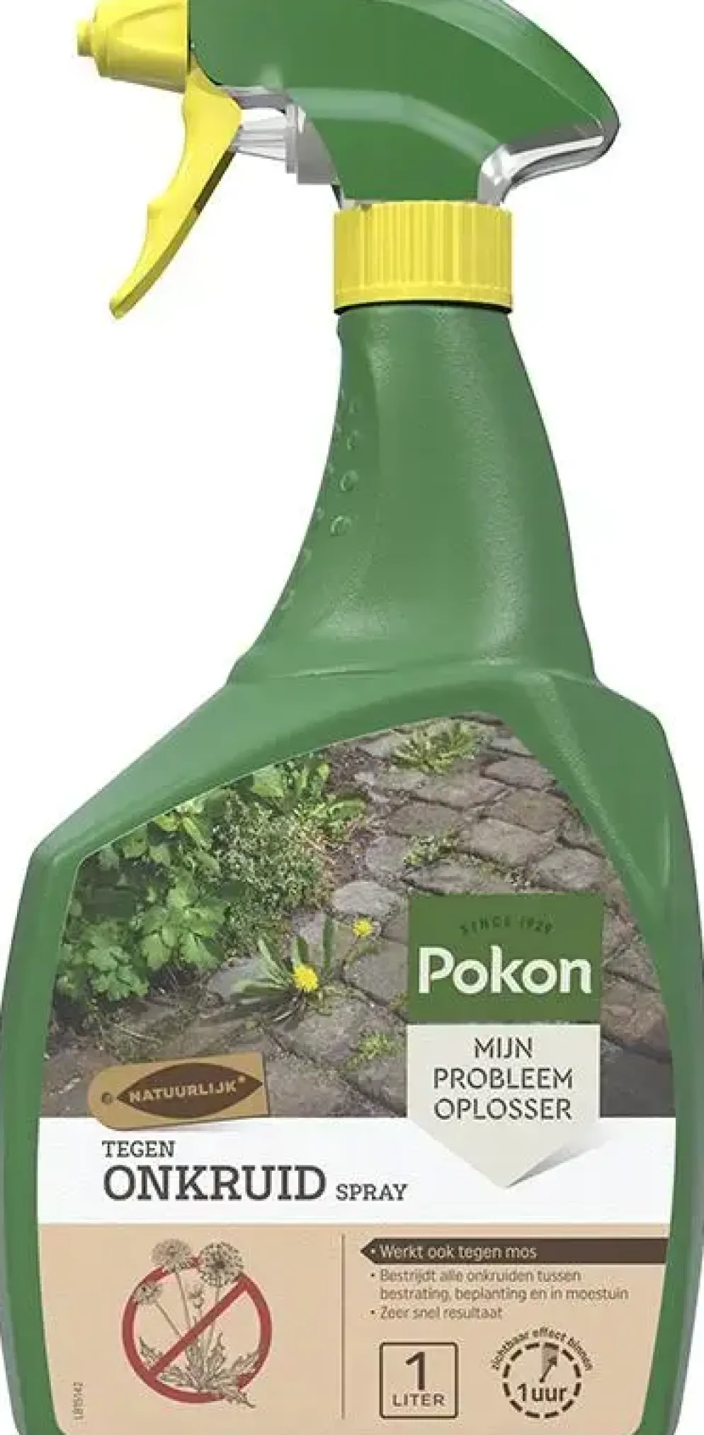 Pokon Tegen Onkruid Spray 1L