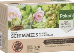 Pokon Tegen Schimmels Fungex Concentraat 180gr