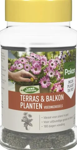 Pokon Terras & Balkon Planten Voedingskegels 40 stuks