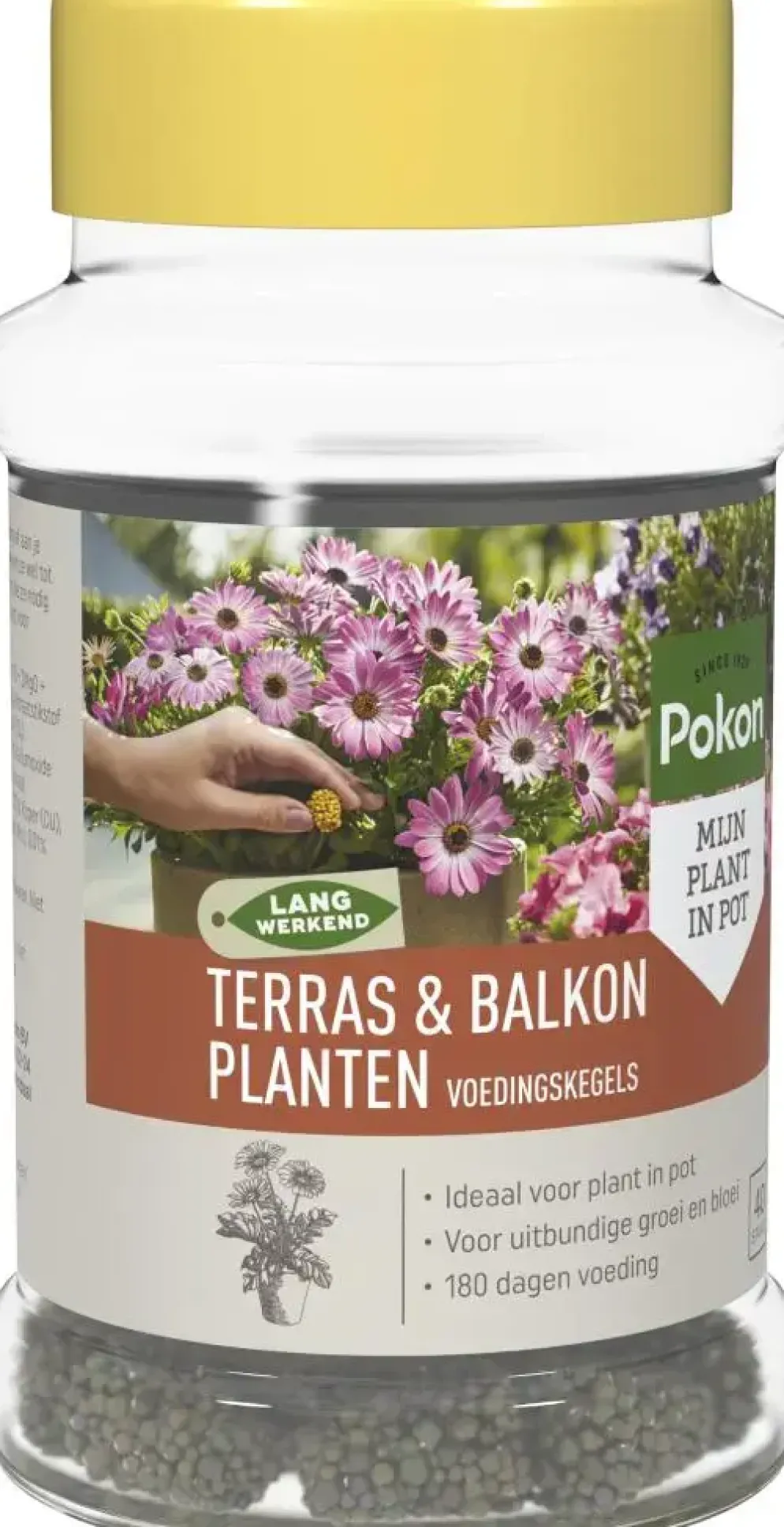 Pokon Terras & Balkon Planten Voedingskegels 40 stuks