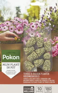 Pokon Terras & Balkon Planten Voedingskegels 10 stuks