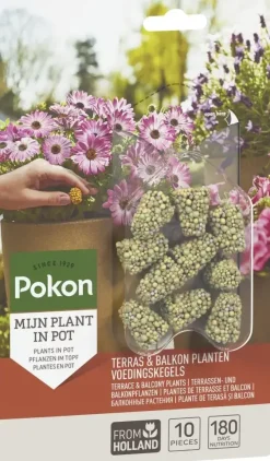 Pokon Terras & Balkon Planten Voedingskegels 10 stuks