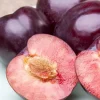 Prunus domestica 'Hauszwetsche' (Pruim) fruitplant 230cm
