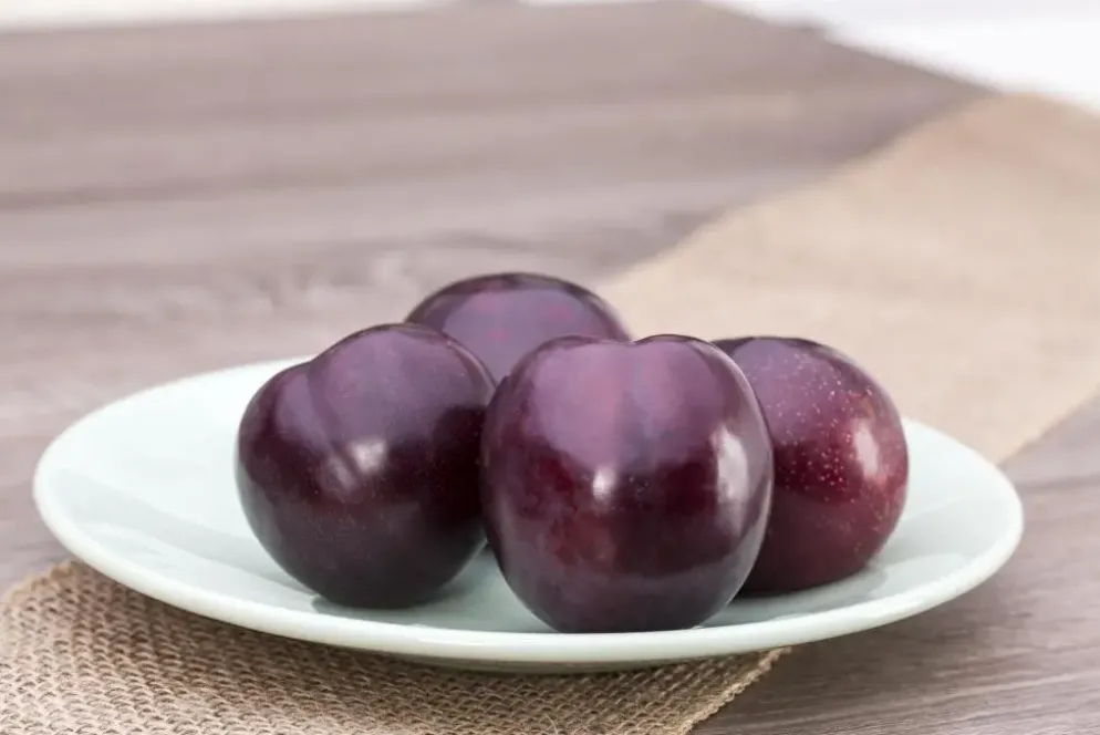 Prunus domestica 'Hauszwetsche' (Pruim) fruitplant 230cm