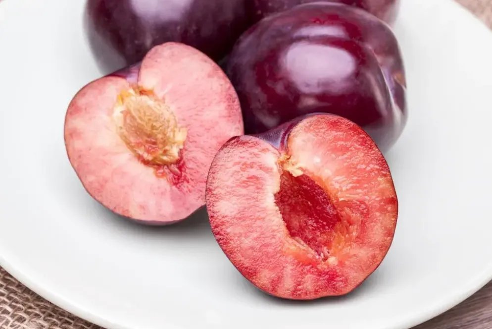 Prunus domestica 'Hauszwetsche' (Pruim) fruitplant 230cm