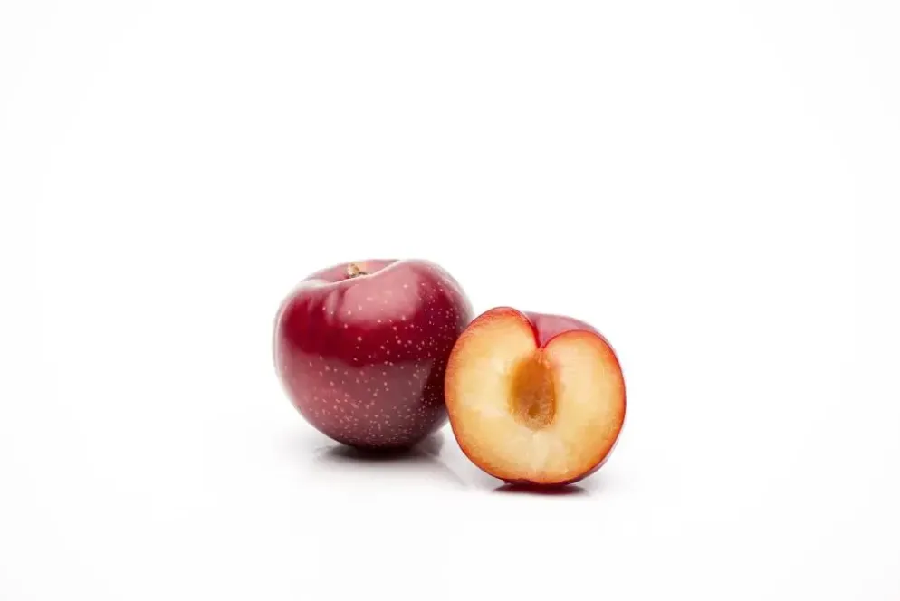 Prunus domestica 'Hauszwetsche' (Pruim) fruitplant 230cm