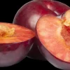 Prunus domestica 'Opal' (Pruim) fruitplant 230cm