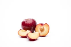 Prunus domestica 'Victoria' (Pruim) fruitplant 230cm