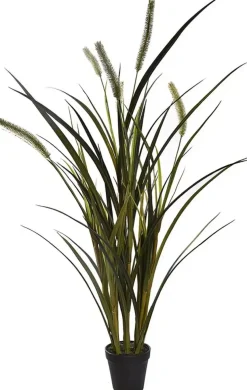 Pure Royal gras 86cm groen