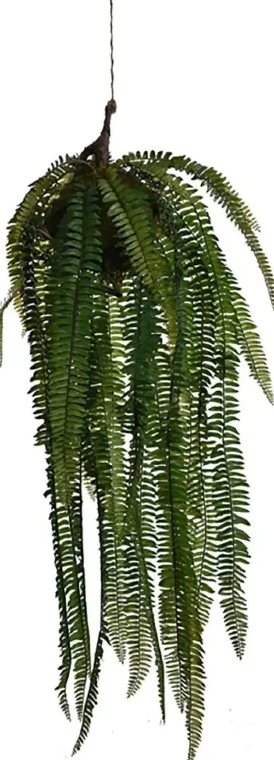 Pure Royal kunst hangplant varen 73cm groen