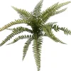 Pure Royal kunstplant boston fern 25cm green