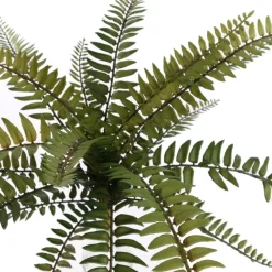 Pure Royal kunstplant boston fern 25cm green