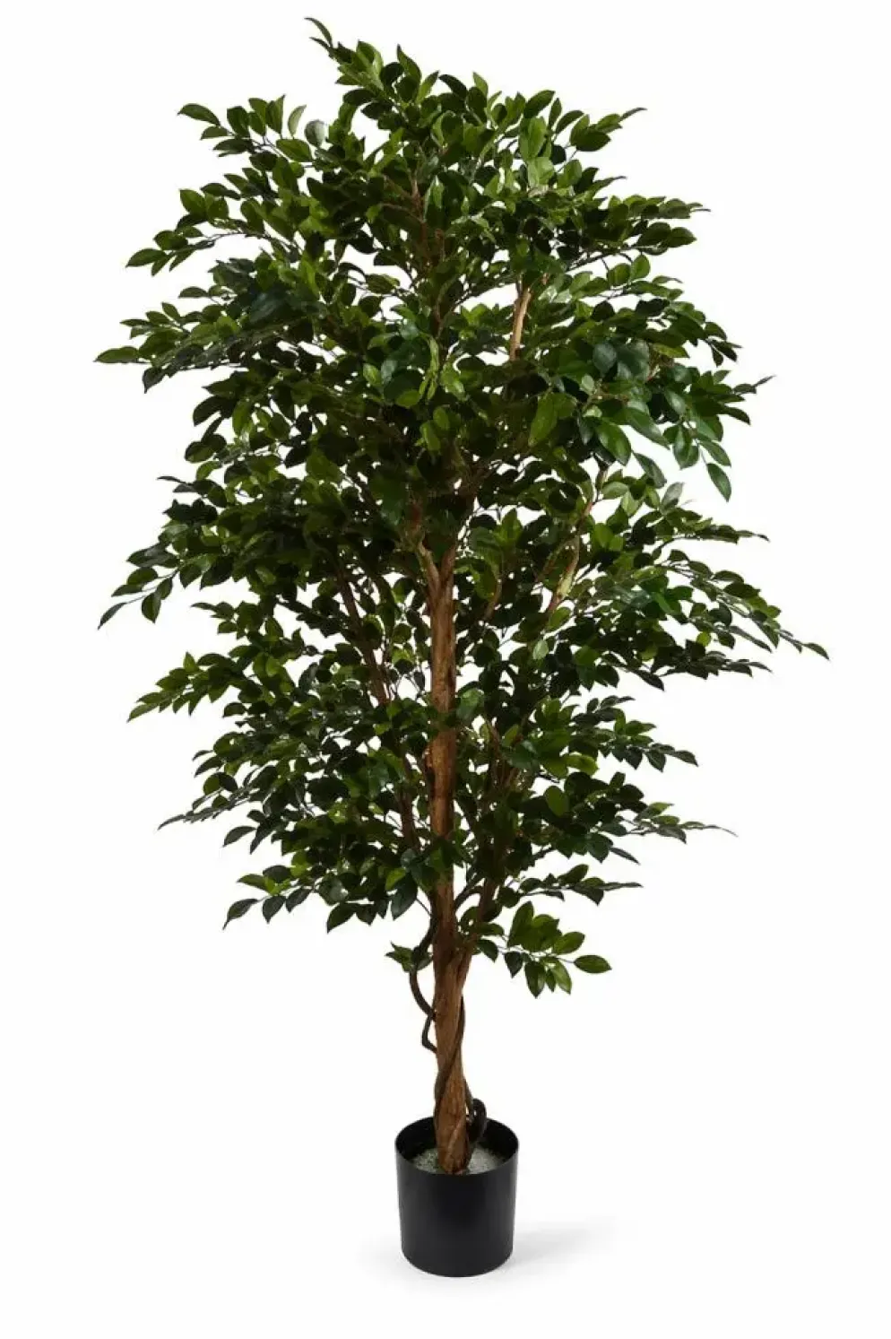 Pure Royal kunstplant ficus folia 180cm groen