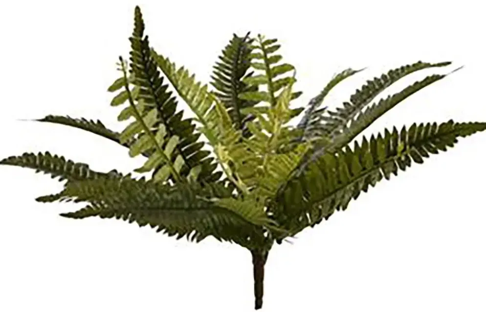 Pure Royal kunstplant varen 43cm groen