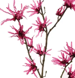 Pure Royal kunsttak hamamelis 98cm beauty