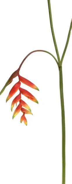 Pure Royal kunsttak heliconia 130cm rood