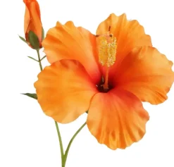 Pure Royal kunsttak hibiscus 75cm oranje