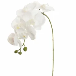 Pure Royal kunsttak phalaenopsis 85cm wit