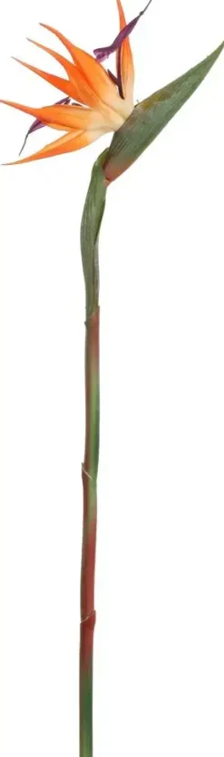 Pure Royal kunsttak strelitzia 58cm oranje