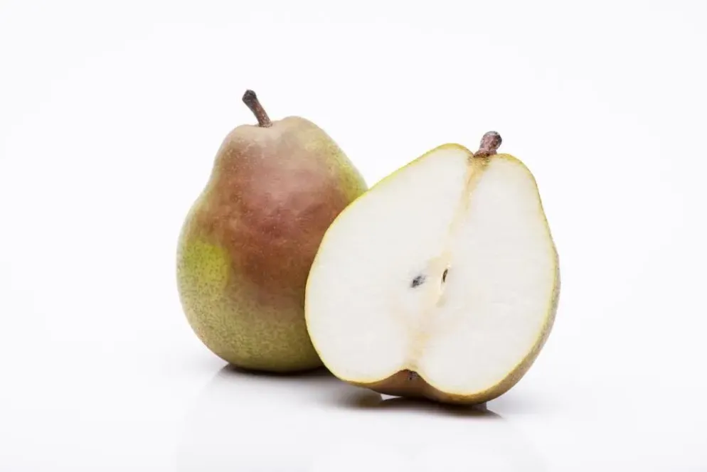 Pyrus communis 'Doyenné du Comice' (Peer) fruitplant 160cm