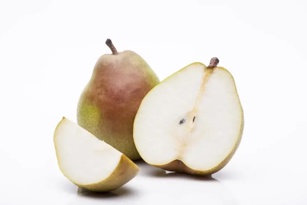 Pyrus communis 'Doyenné du Comice' (Peer) fruitplant 160cm