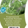 Rosmarinus (Kruiprozemarijn)