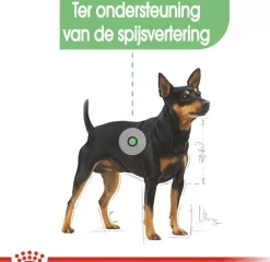 Royal Canin Digestive Care Mini 3kg