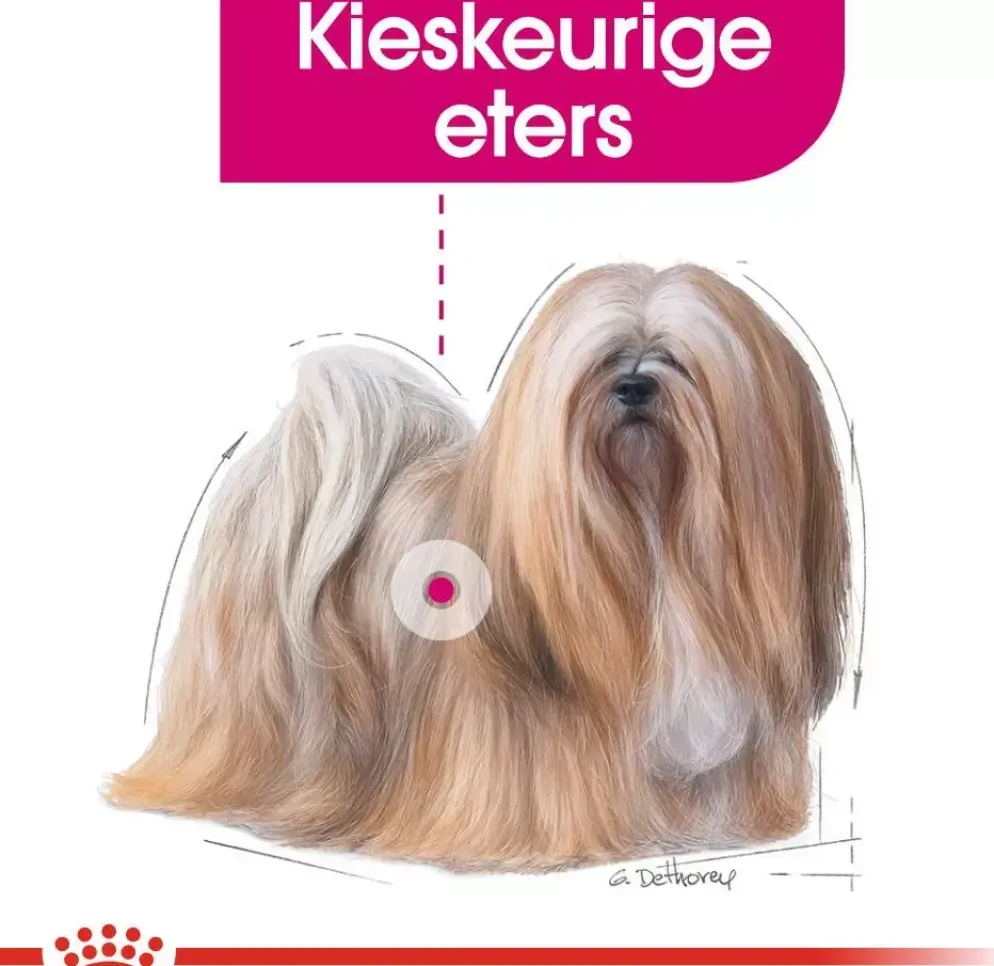 Royal Canin Exigent Mini 3kg