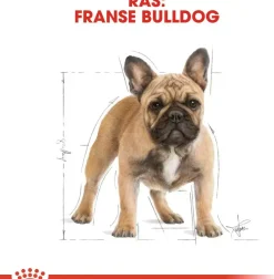 Royal Canin French Bulldog Adult 3kg