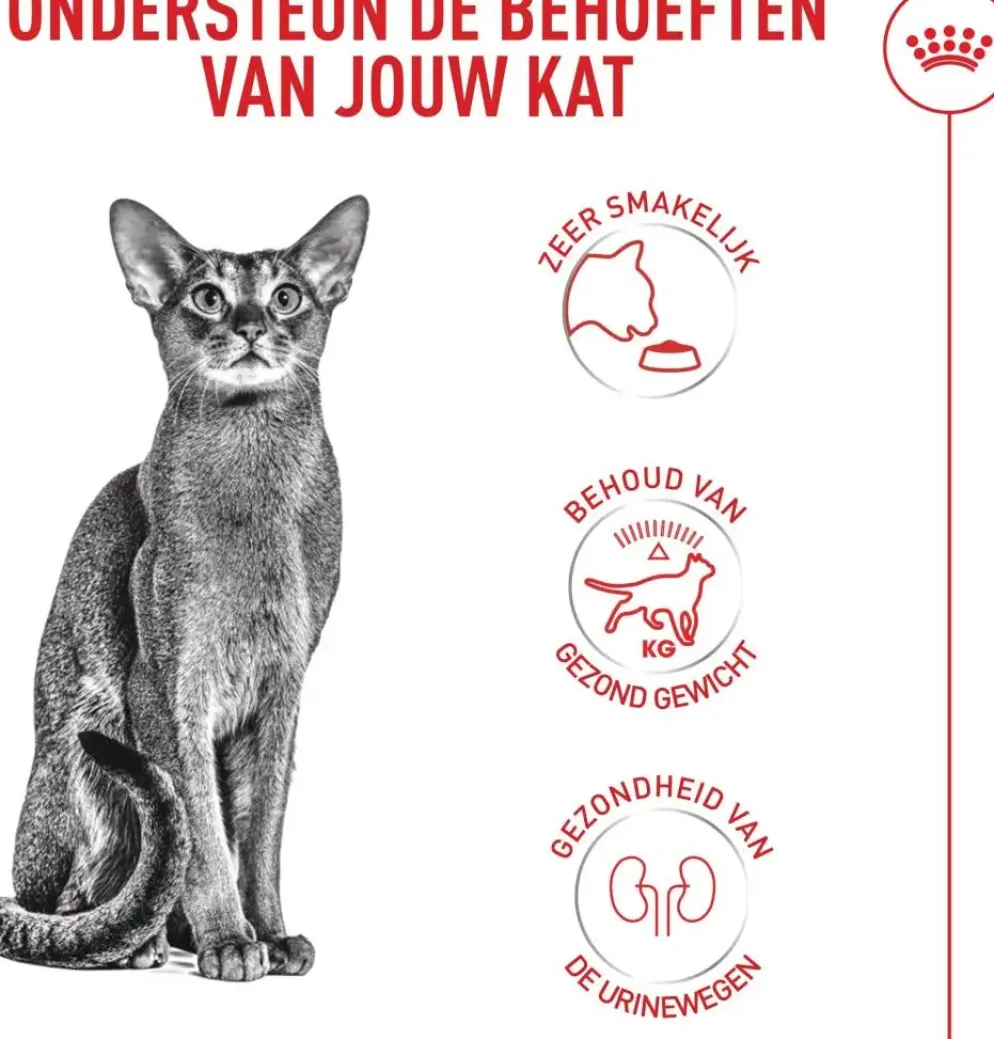 Royal Canin Fussy Exigent 10kg