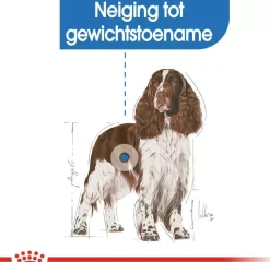 Royal Canin Light Weight Care Medium 3kg