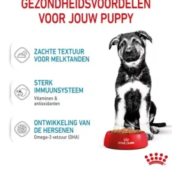 Royal Canin Maxi Puppy natvoer 85g