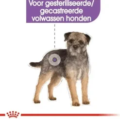 Royal Canin Sterilised natvoer 85g
