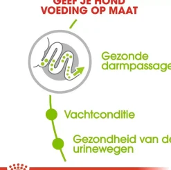Royal Canin X-Small Adult 8+ jaar 1,5kg